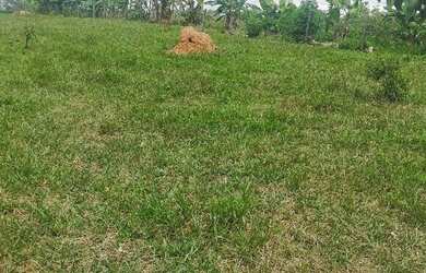 Imagem 1: Venda de lote. 3.500m² de Área