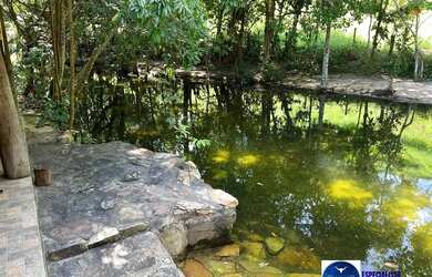 Imagem 6: Fazenda à Venda em Sanclerlândia - GO 39 Alqueires 100 Cultura