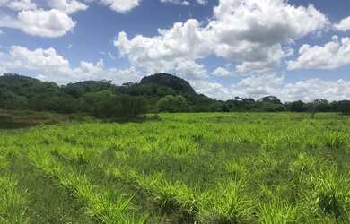 Imagem 7: Vendo fazenda Fazenda / sítio com venda por R$3.200.000