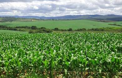 Imagem 1: fazenda em 3 corações 987 hectares 53.000.000.00 edi-pv