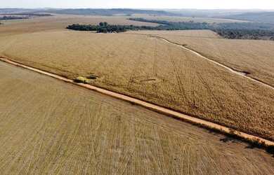 Imagem: A fazenda está localizado em Santa Cruz de Goiás, GO à venda