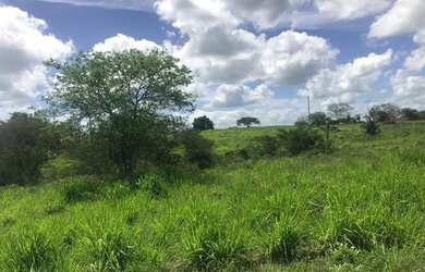 Imagem 3: Vendo fazenda Fazenda / sítio com venda por R$3.200.000