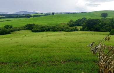 Imagem 4: fazenda em 3 corações 987 hectares 53.000.000.00 edi-pv
