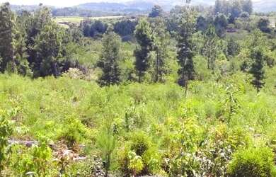 Imagem: A fazenda possui 11.607m² de Área e está localizado em Maracanã