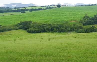 Imagem 2: fazenda em 3 corações 987 hectares 53.000.000.00 edi-pv
