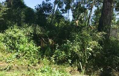 Imagem 2: Lote/Terreno para venda tem 250 metros quadrados em Sao Joao Batista III - Peruíbe - SP