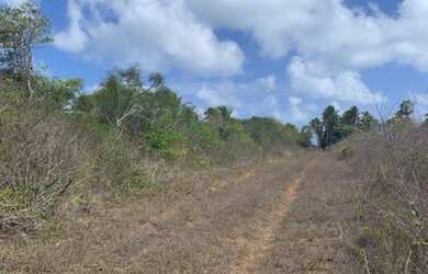Imagem 15: 6 lotes juntos São Miguel do gostoso