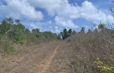 Imagem 11: 6 lotes juntos São Miguel do gostoso