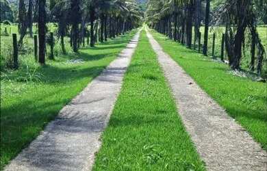 Imagem: A fazenda possui 960.000m² de Área e está localizado em