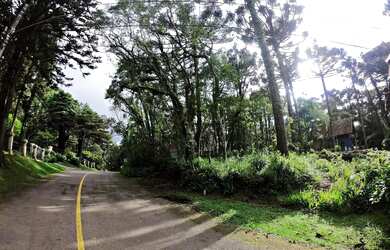 Imagem 10: Terreno - Bairro Planalto