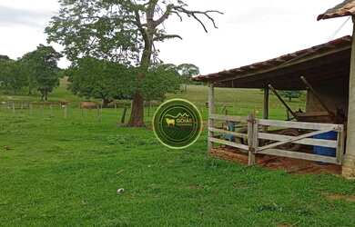 Imagem 12: 197 Alqueires Novo Brasil