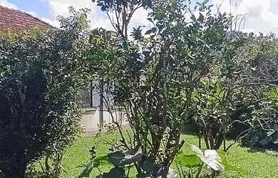 Imagem 13: Terreno de 1.400m2 à venda na Ilha de Guaratiba - Rio de Janeiro - RJ