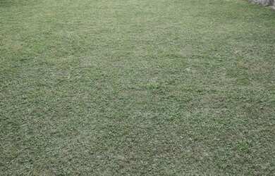 Imagem 7: Vendo Terreno grande com imóvel