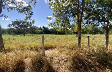 Imagem 2: FAZENDA À VENDA - 217 ALQUEIRES MUNDO NOVO - Goias