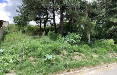 Imagem 3: Terreno Amplo 420m² - Jardim Cíntia Mara - Almirante Tamandaré/PR