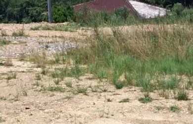 Imagem: O terreno possui 4.500m² de Área e está localizado em Bocaiúva