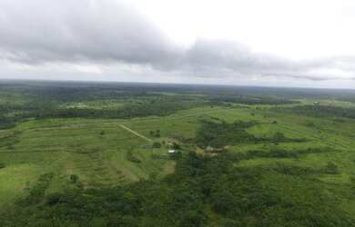 Imagem 16: Fazenda de 280 hectares no Pará R$ 2,7 milhões reais,200 hectares de pasto