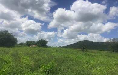 Imagem 10: Vendo fazenda Fazenda / sítio com venda por R$3.200.000