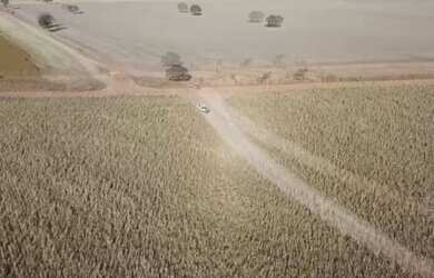 Imagem 2: 160 alqueires em Santa Cruz Goias