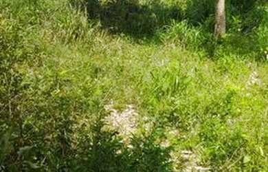 Imagem: A chácara possui 1.660m² de Área, Churrasqueira, Piscina