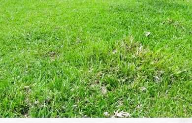 Imagem: O terreno possui 600m² de Área e está localizado em Centro