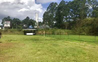 Imagem 3: AREA - LARANJA AZEDA - SP