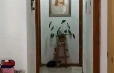 Imagem 7: Casas Padrão em Poços de Caldas