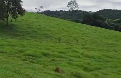 Imagem: A chácara está localizado em Loteamento Guanabara, Anápolis