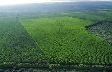 Imagem: A fazenda possui 14.742m² de Área e está localizado em São