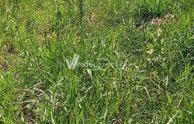 Imagem: O terreno possui 200m² de Área e está localizado em Nova