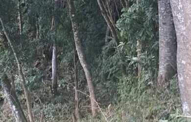 Imagem 2: Campo largo ferreira. 12m² de Área