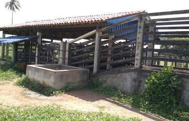 Imagem: A fazenda possui 350.000m² de Área Privada e está localizado