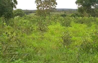 Imagem 4: Area na comunidade Barra do Bom Jardim/ Lago do Manso