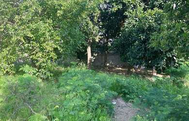 Imagem 4: Terreno de Esquina Av. Santa Cruz