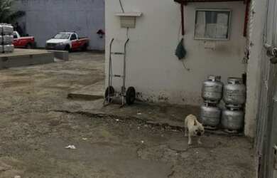 Imagem 4: Lote/Terreno para venda tem 600 metros quadrados em Itapuã - Salvador...