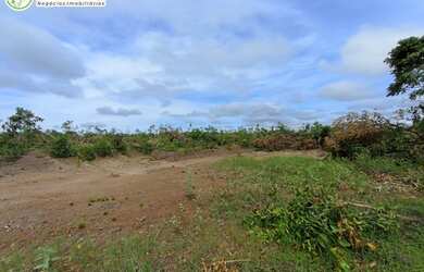 Imagem 1: FAZENDA À VENDA NO VALE DO ARAGUAIA - TO - 1.186 HECTARES (DUPLA APTIDÃO