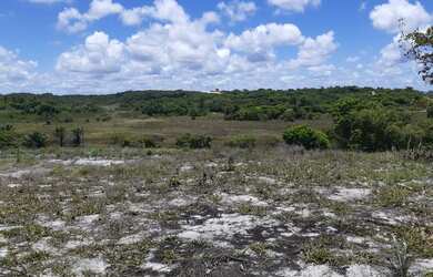 Imagem: O terreno possui 50.000m² de Área e está localizado em Entre