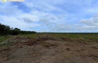 Imagem 2: FAZENDA À VENDA NO VALE DO ARAGUAIA - TO - 1.186 HECTARES (DUPLA APTIDÃO