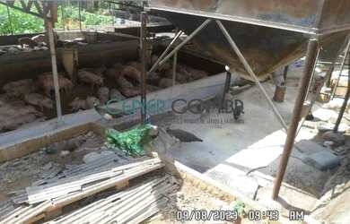 Imagem 9: 2512 Fazenda De 160 Ha Com Grande Suinocultura Em Atividade Região De Ponte Nova Mg