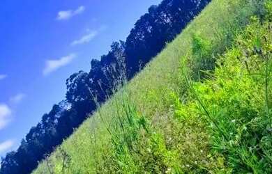 Imagem: O terreno possui 500m² de Área e está localizado em Jardim