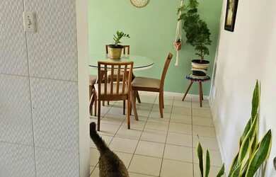 Imagem 6: Imbuí Perto de Td, Nascente, Infra, R$ 249.999