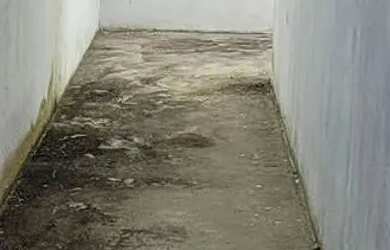 Imagem 9: CASA LINDA? Casa com 2 dormitórios