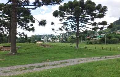 Imagem 7: Propriedade Rural no bairro Serra Grande