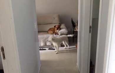 Imagem 6: Open House vende apartamento de 3 quartos no Condomínio Grand Village