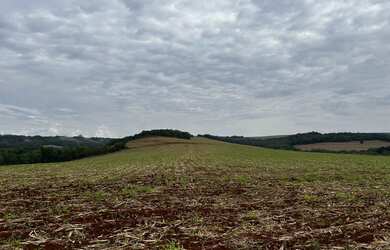 Imagem 8: Sítio de 8 alqueires na colônia nova