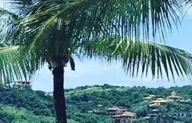 Imagem 9: Mansão com 7 suites para locação por temporada Praia da Ferradura -...