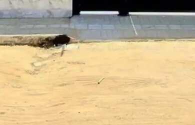 Imagem: A casa possui 3 Dormitórios, 2 Banheiros, 4 Vagas na garagem