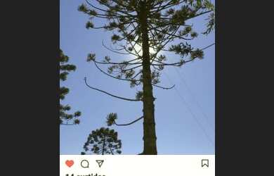 Imagem 1: Vendo Maravilhoso Terreno