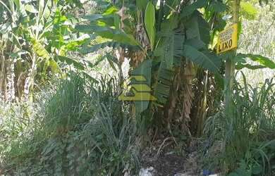 Imagem 12: Rio de Janeiro - Terreno Padrão - Freguesia Jacarepaguá