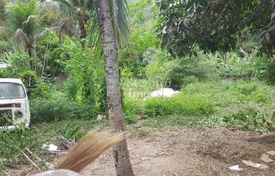 Imagem 5: Rio de Janeiro - Terreno Padrão - Recreio dos Bandeirantes